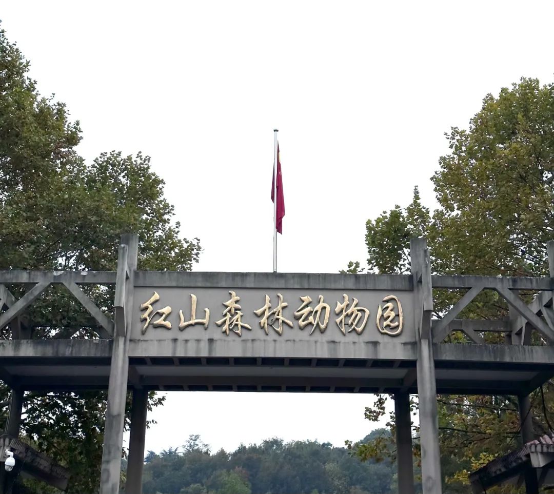 5dc2bb9d2bb0179a02bba9c29e86da6d_640_wx_fmt=jpeg&from=appmsg