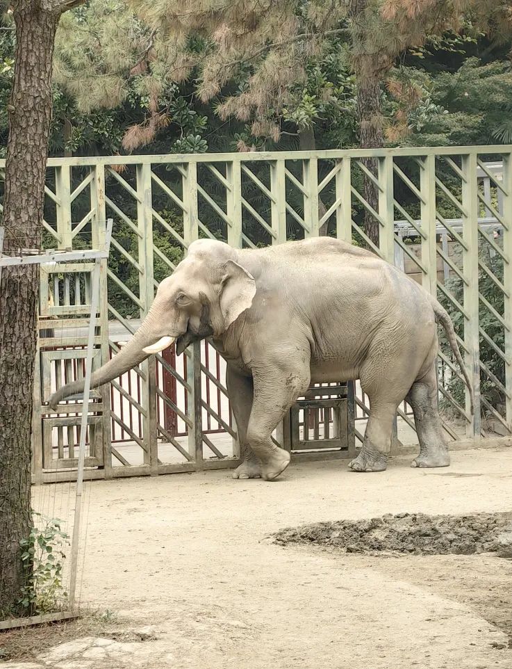 e0a101e71ee1c624595f803fdd939057_640_wx_fmt=jpeg&from=appmsg