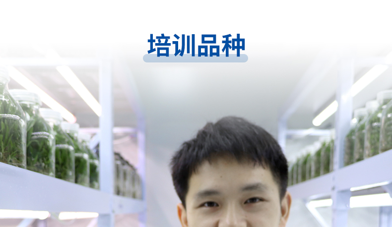 培訓(xùn)詳情2_02