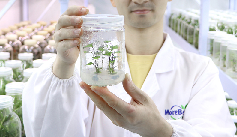 培訓(xùn)詳情2_03