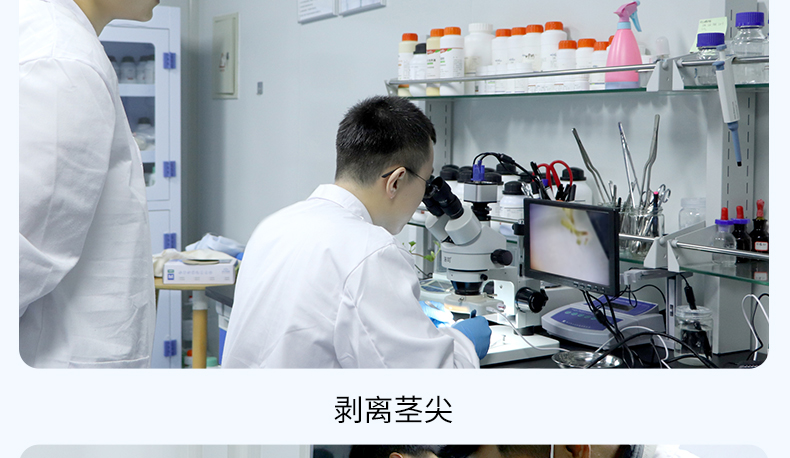 培訓(xùn)詳情2_12