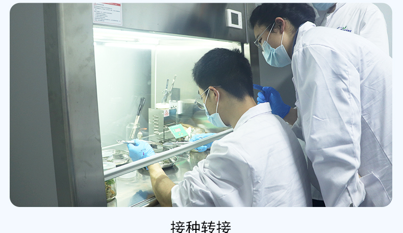 培訓(xùn)詳情2_14